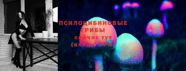 ALPHA-PVP Белокуриха